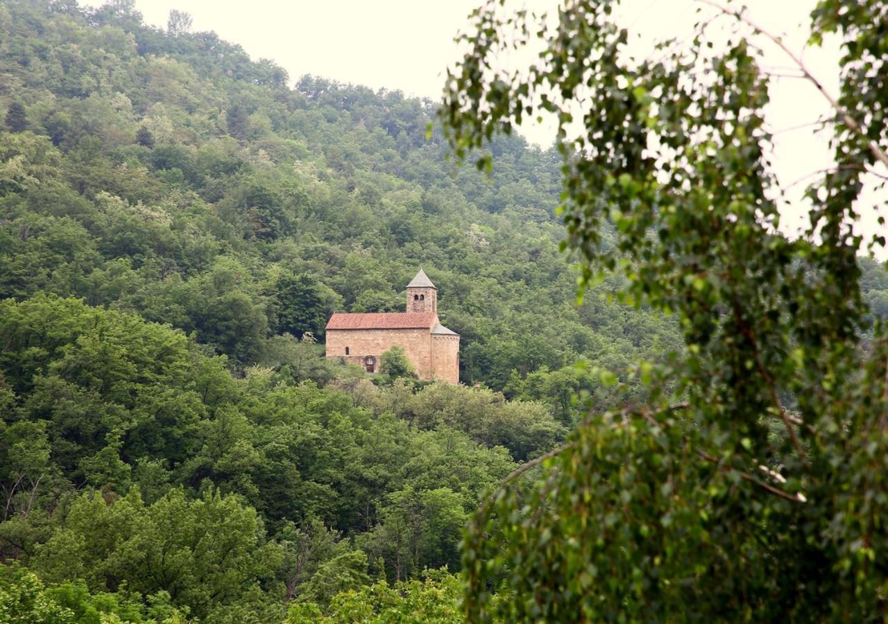 Beau Vallon - Gite Et Chambres D'Hotes Pyrenees-Mediterranee - Pays Catalan Sahorre 外观 照片