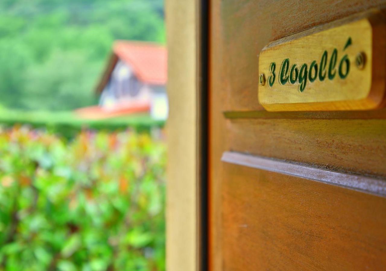 Beau Vallon - Gite Et Chambres D'Hotes Pyrenees-Mediterranee - Pays Catalan Sahorre 外观 照片