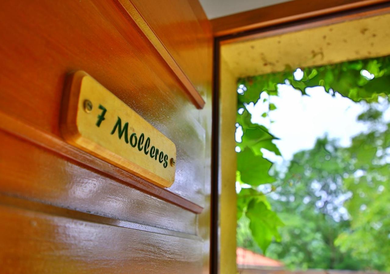Beau Vallon - Gite Et Chambres D'Hotes Pyrenees-Mediterranee - Pays Catalan Sahorre 外观 照片